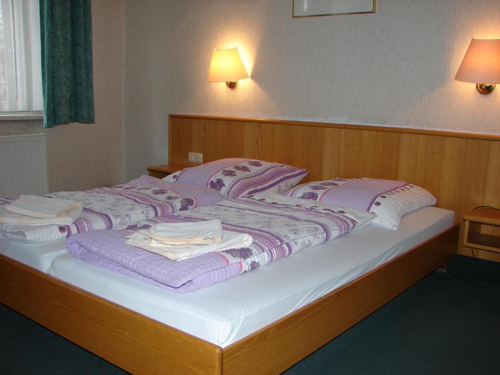Hotel-Restaurant-Adler Reichenbach im Vogtland Pokoj fotografie